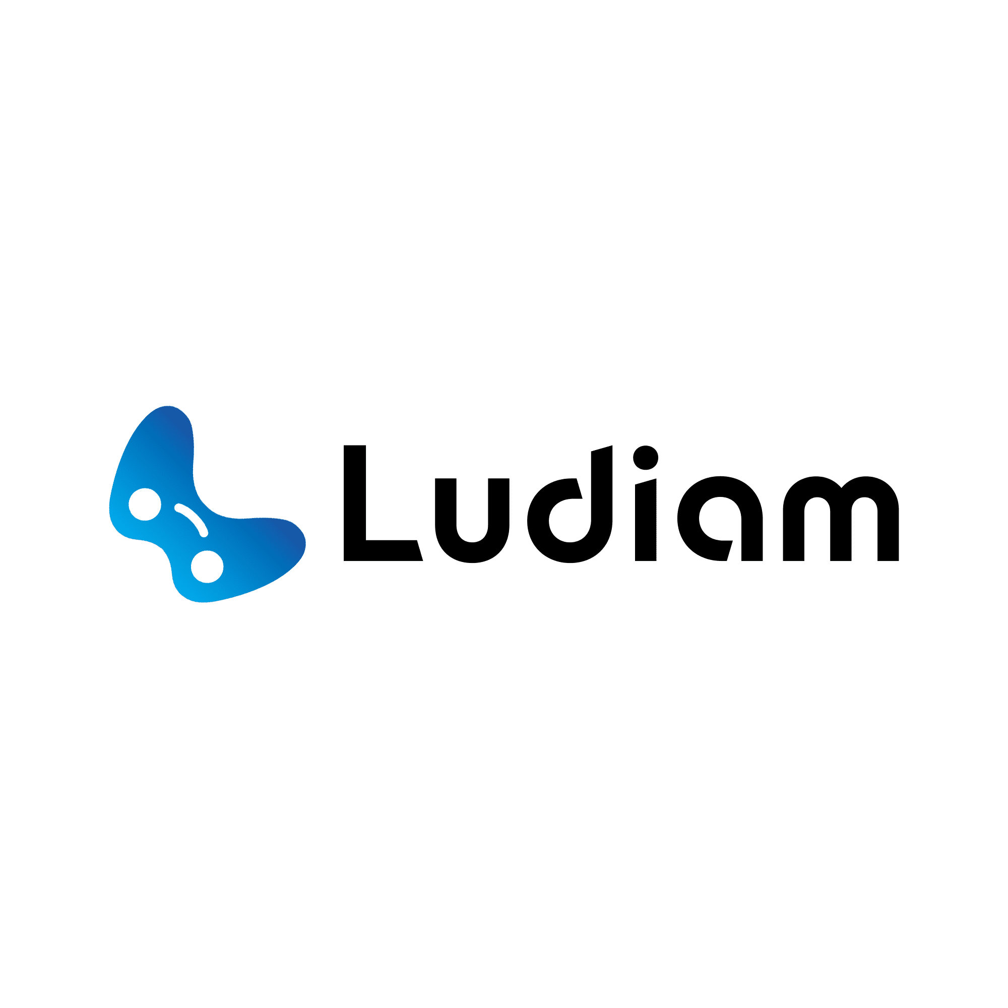 Ludiam株式会社